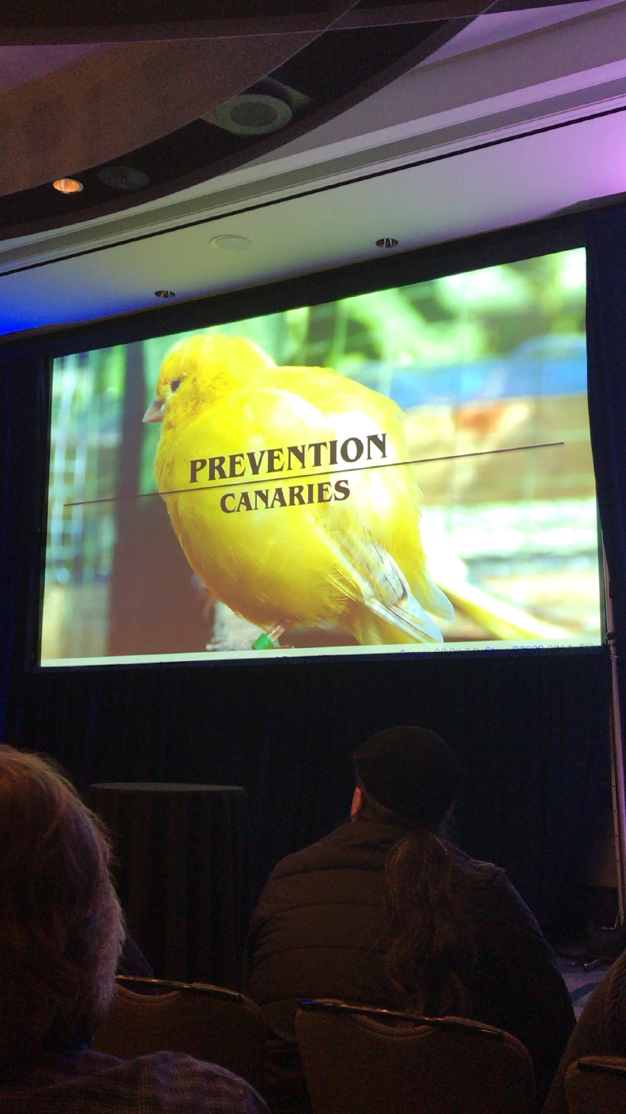 str-prevent-canary